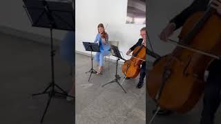 Violinista Barbara Krüger video preview