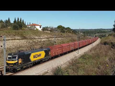 Comboio de Pasta de Papel n.º 50631/0 - Paialvo