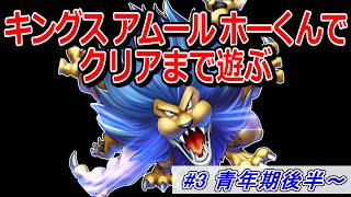 【ドラクエ5】キングス・アムール・ホーくんをクリアまで使ってみる part3 青年期後半～【DQ5】