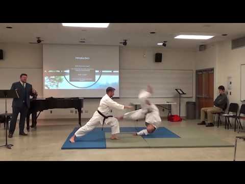 An Aikido Guide to Harmonious Teaching