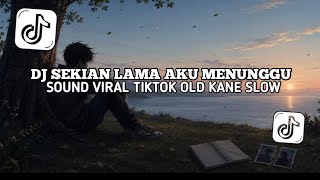 Download lagu DJ SEKIAN LAMA AKU MENUNGGU SLOW VIRAL TIKTOK - HudaFvnky Rmx!!  mp3