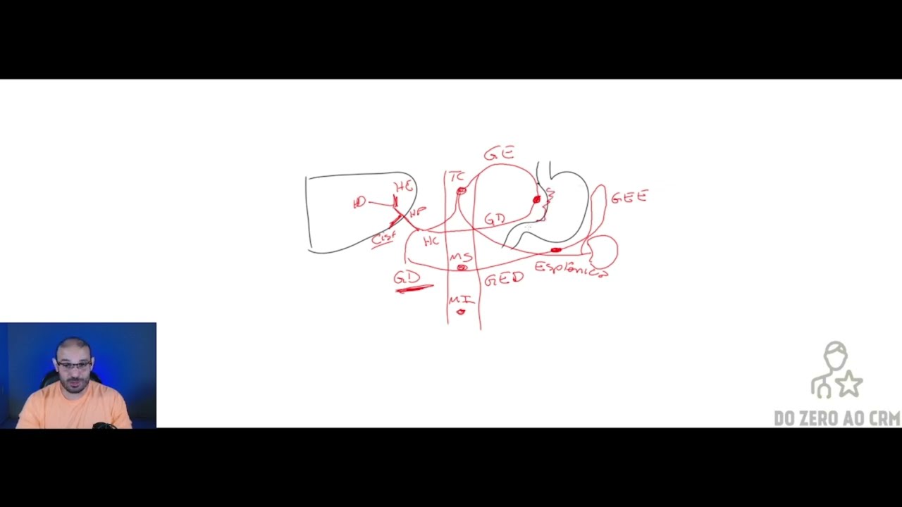 VASCULARIZAÇÃO DO ABDÔMEN