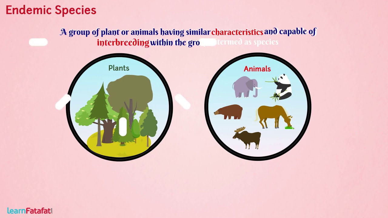 Conservation of Plants and Animals Class 8 Science - Flora and Fauna