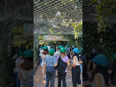 Minas de Wanda. Misiones 🌴🇦🇷