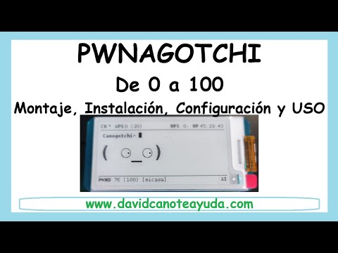 Pwnagotchi: Montaje, Instalación, Configuración y Ejecución Paso a Paso en Raspberry