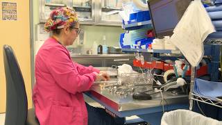 Team Spotlight: Central Sterile Supply