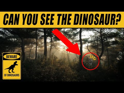 Find the Hidden Dinosaur | Hidden Animals Optical Illusions 🦖🦕😎
