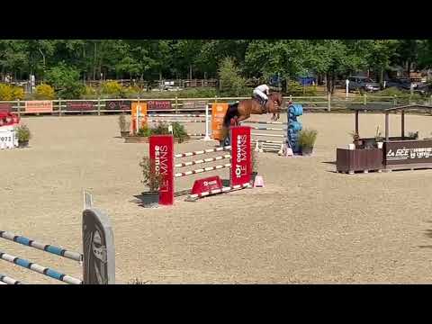 JOYCE MESSIPIERRE - PARCOURS