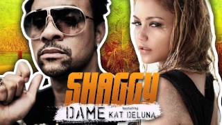 Shaggy &amp; Kat Deluna - Dame