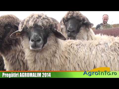 Pregatiri Agromalim 2014