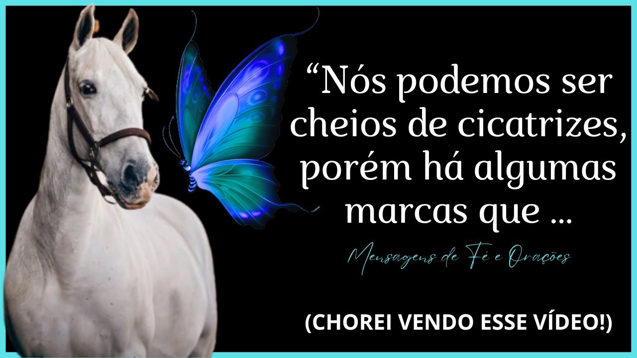 O cavalo e a borboleta (emocionante reflexão de vida)