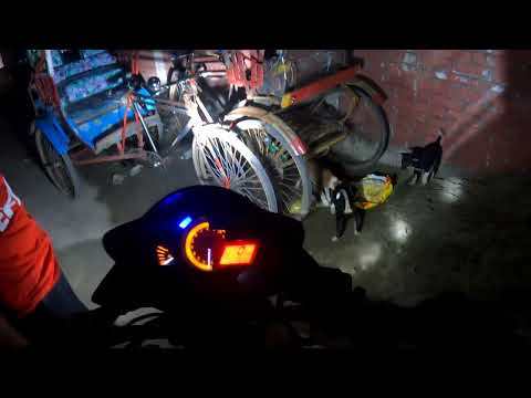 stray dog Feeding program in Chittagong,bangladesh ||Dog lover bd ||food rights for everyone ||♥