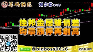 【大戶羅盤籌碼動能】 #謝宗霖1116，佳邦金居賺價差 均豪漲停再創高 (圖)