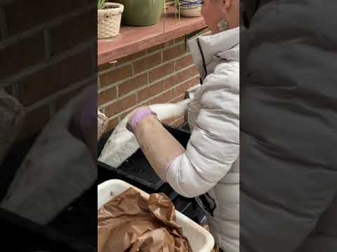 Vermi-Compost Lasagna