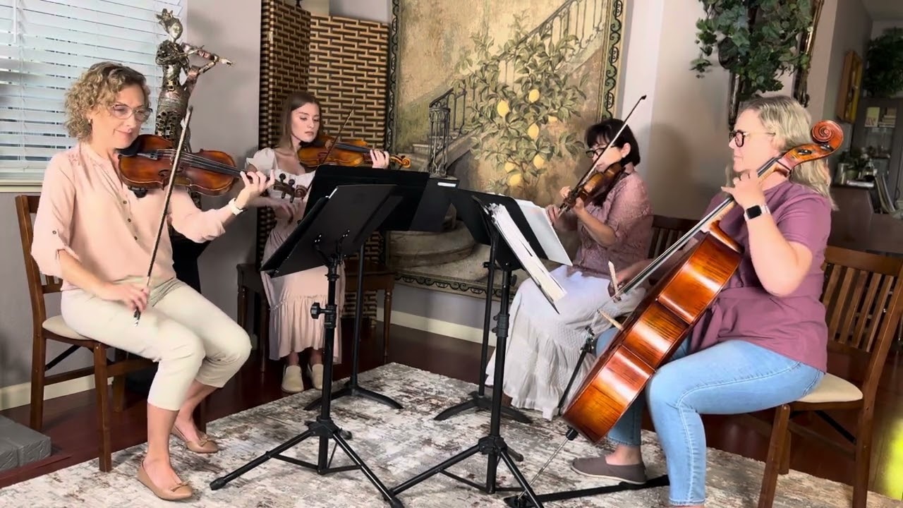Promotional video thumbnail 5 for Harmony Strings