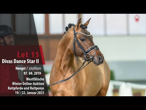 Winter Online-Auktion Lot 15 Divas Dance Star II Hengst v. Dance Star AT NRW - Dimension AT NRW