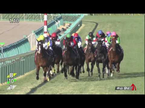 ホープフルステークス2016(2000m)THE HOPEFUL STAKES2016