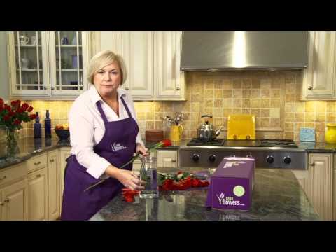 One Dozen Red Roses - 90926 - 1-800-FLOWERS.COM