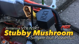 FPV Uncut Video: Stubby Mushroom so Powerfull !!