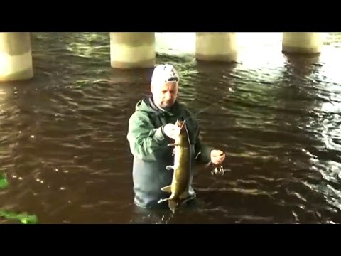 Matze Koch: A Bad Day with Perch - Matze's Antics 06-2012