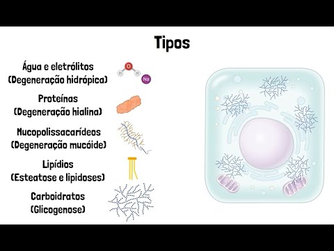 Degenerações Celulares