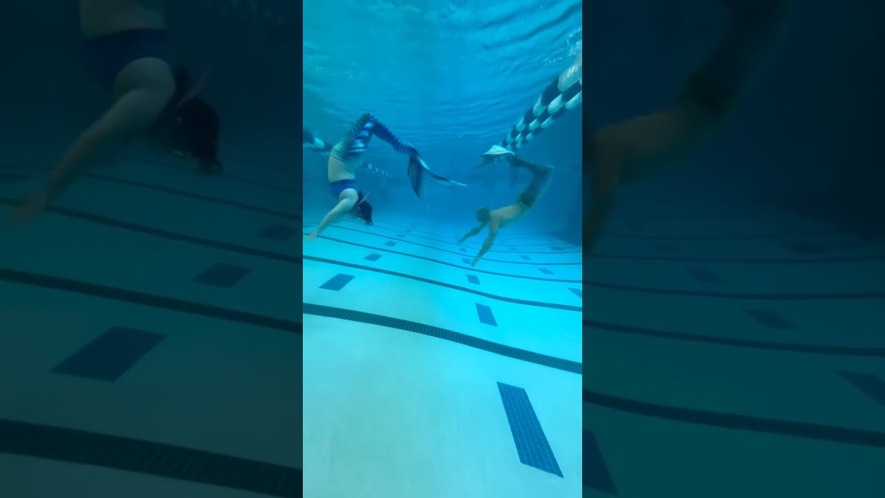 Promotional video thumbnail 2 for Mermaid Zippy