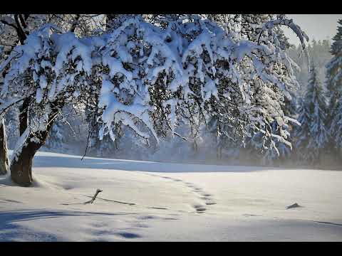 The Snow Maiden - A Russian Folktale