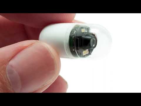 Wireless Capsule Endoscopy