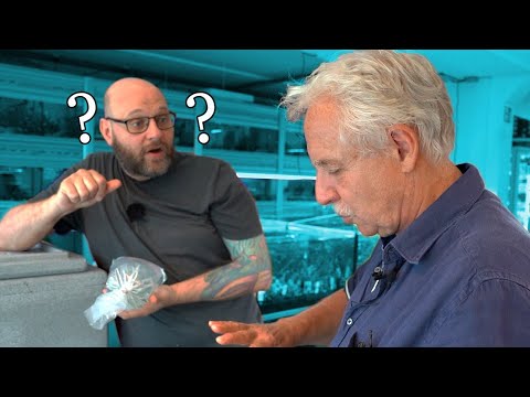 Aquarium Fisch Unboxing  | Lehrstunde mit Prof. Roland