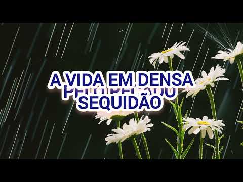 TUA CHUVA/CANTADO E LEGENDADO/CÍNTIA ALVES