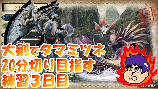【MHRize】モンハンライズ発売までに大剣を極めたい【練習3日目】