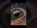 The Substance scene #horror #bodyhorror #substance