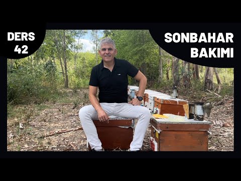 ARICILIKTA SONBAHAR BAKIMI & PÜF NOKTALARI - YouTube