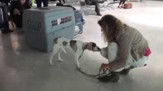 Gilda arrivée ! Gilda adoptée !