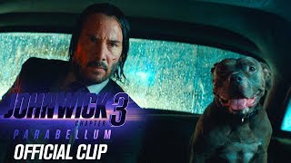 John Wick: Chapter 3 - Parabellum (2019) Video