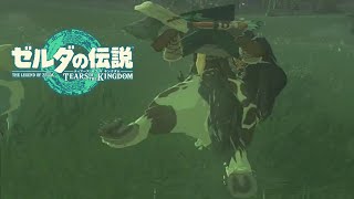 冒険には足がつきもの【＃７】【ゼルダの伝説 ティアーズ オブ ザ キングダム】