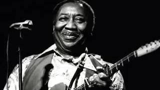 Muddy Waters   Going Down Slow