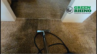 Carpet Cleaning Entrepreneurs Watch and learn ! Cleaning and Advice