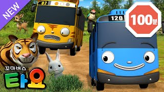 [100분] 동물 구출 대작전🚌🦁 l 용감한 자동차&동물 친구들 l 동물 동화 l 인기 본편 몰아보기 l 꼬마버스 타요