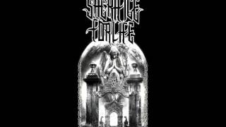 Sacrifice For Life - The Freedom Carriers