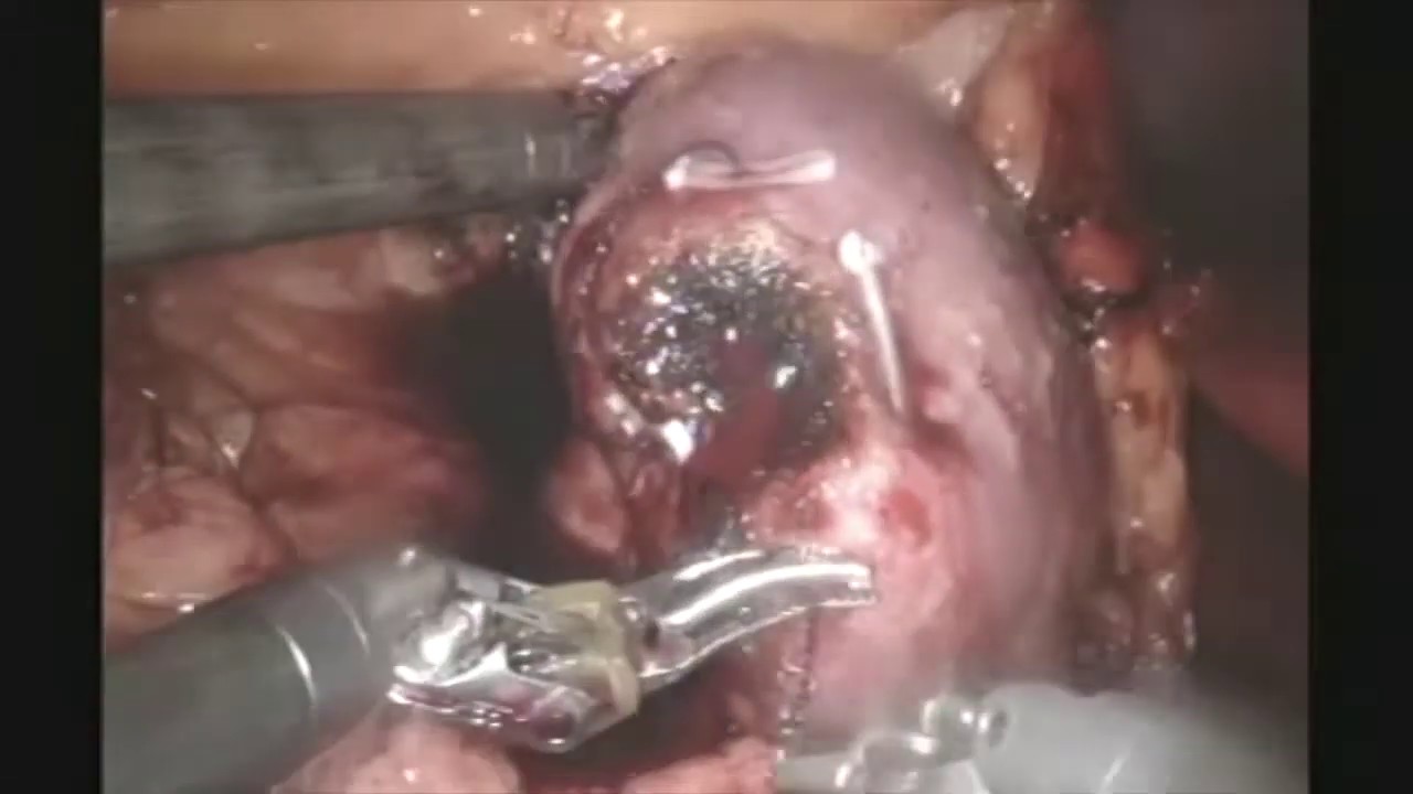 Alejandro Vargas Olivos-8