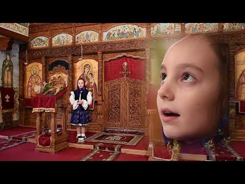 Teodora Petrovai - Preamilostiva Maica