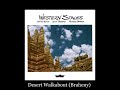 Steve Roach, Richard Burmer, Kevin Braheny - Desert Walkabout (Braheny)