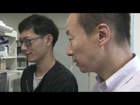 FROM HERE ! ”Tissue regeneration by HGF for the treatment of diseases”