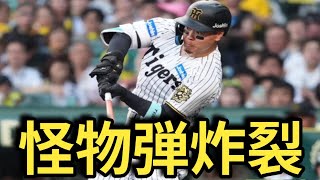 【衝撃弾】佐藤輝明11号ホームラン炸裂！4戦ぶり特大アーチで本拠地大熱狂！