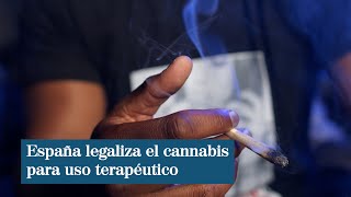 España avala el uso medicinal del cannabis con fines terapéuticos