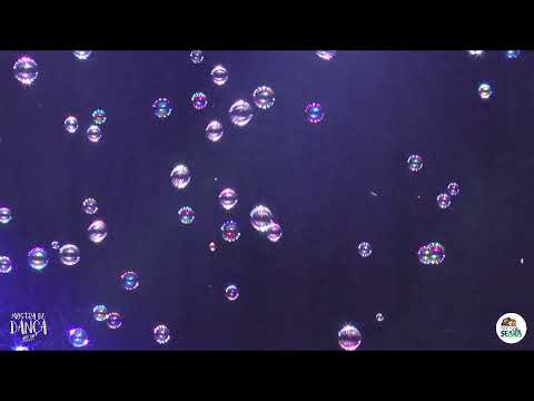 MOSTRA DE DANÇA "ARTE EM MOVIMENTO"