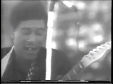 Hound Dog Taylor - Taylor's Rock