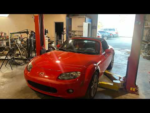 Videos from Animal Speedwerks