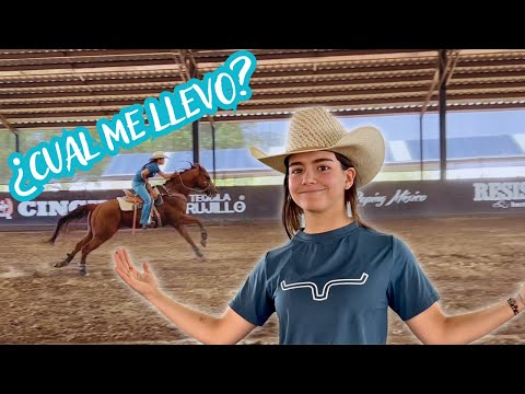 Eligiendo a mi CABALLO para la COMPETENCIA!! 🐴